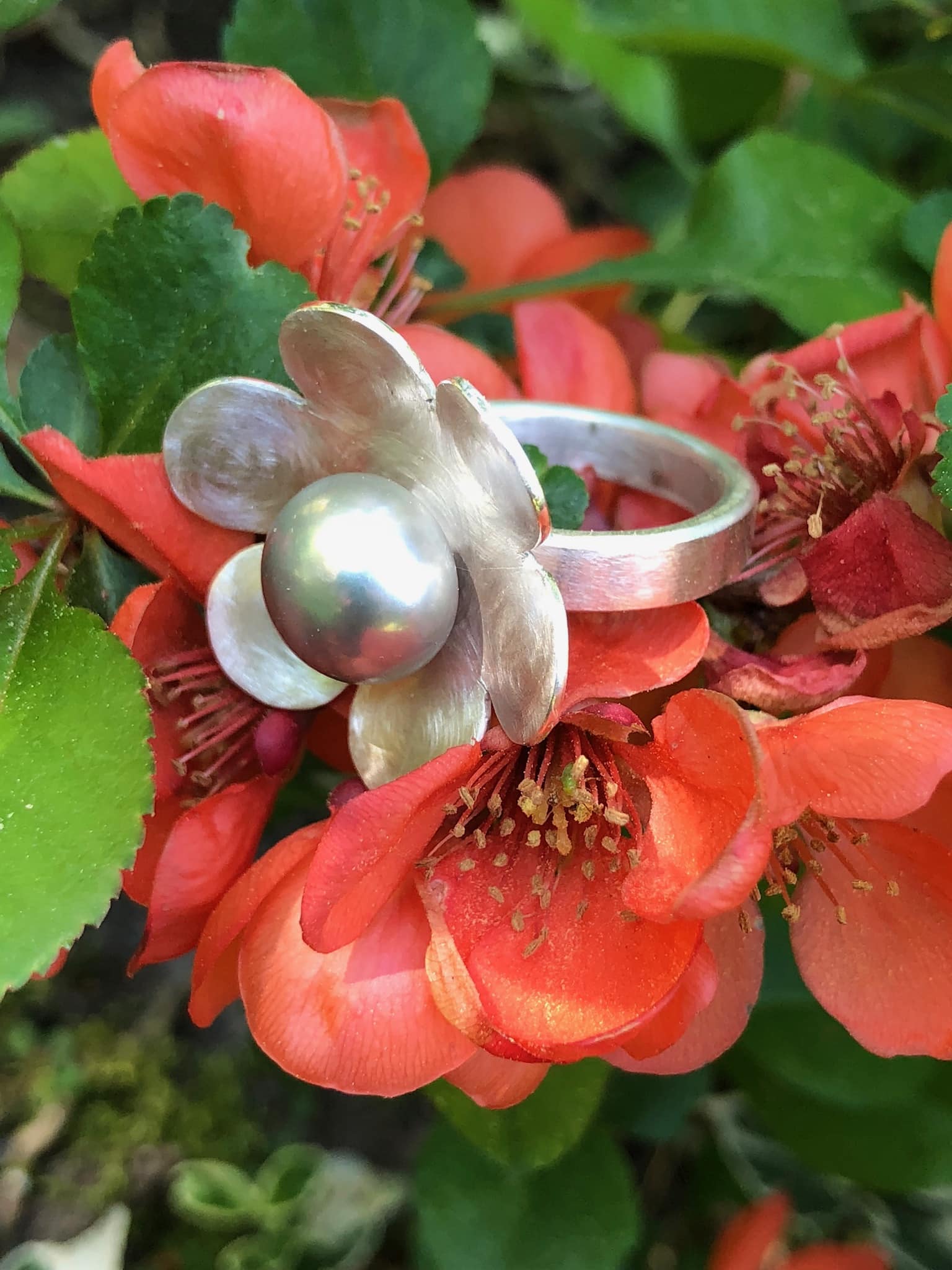 Perlenring Blume mit grauer Perle Sterlingsilber – Bild 3